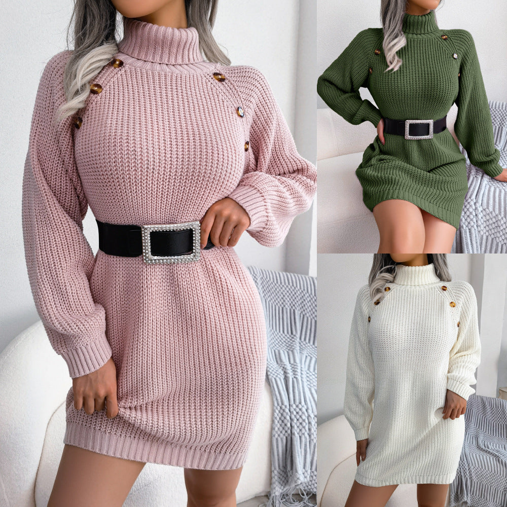 Elegant Turtleneck Knit Sweater Dress | Long Sleeve Women's Winter Style
